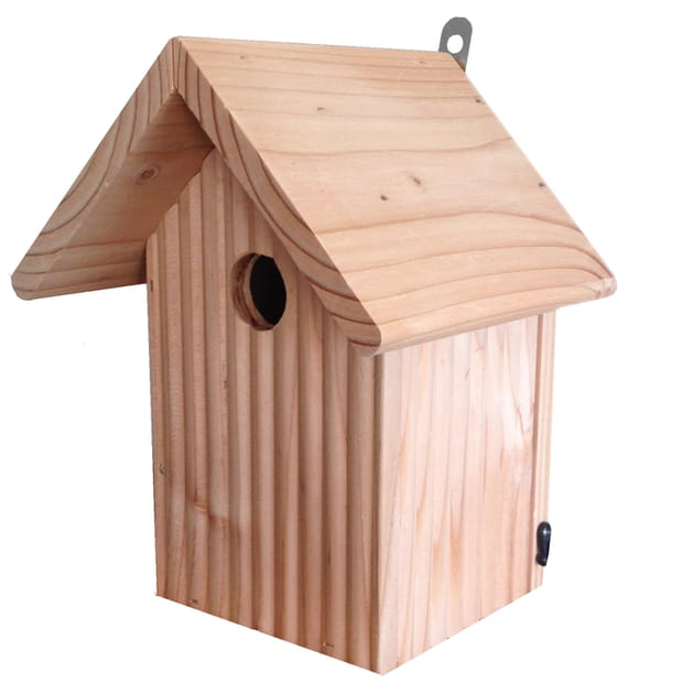 Nichoir Savoie par Caillard