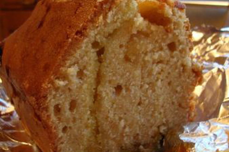 Recette De Cake Sucre Aux Crocodiles