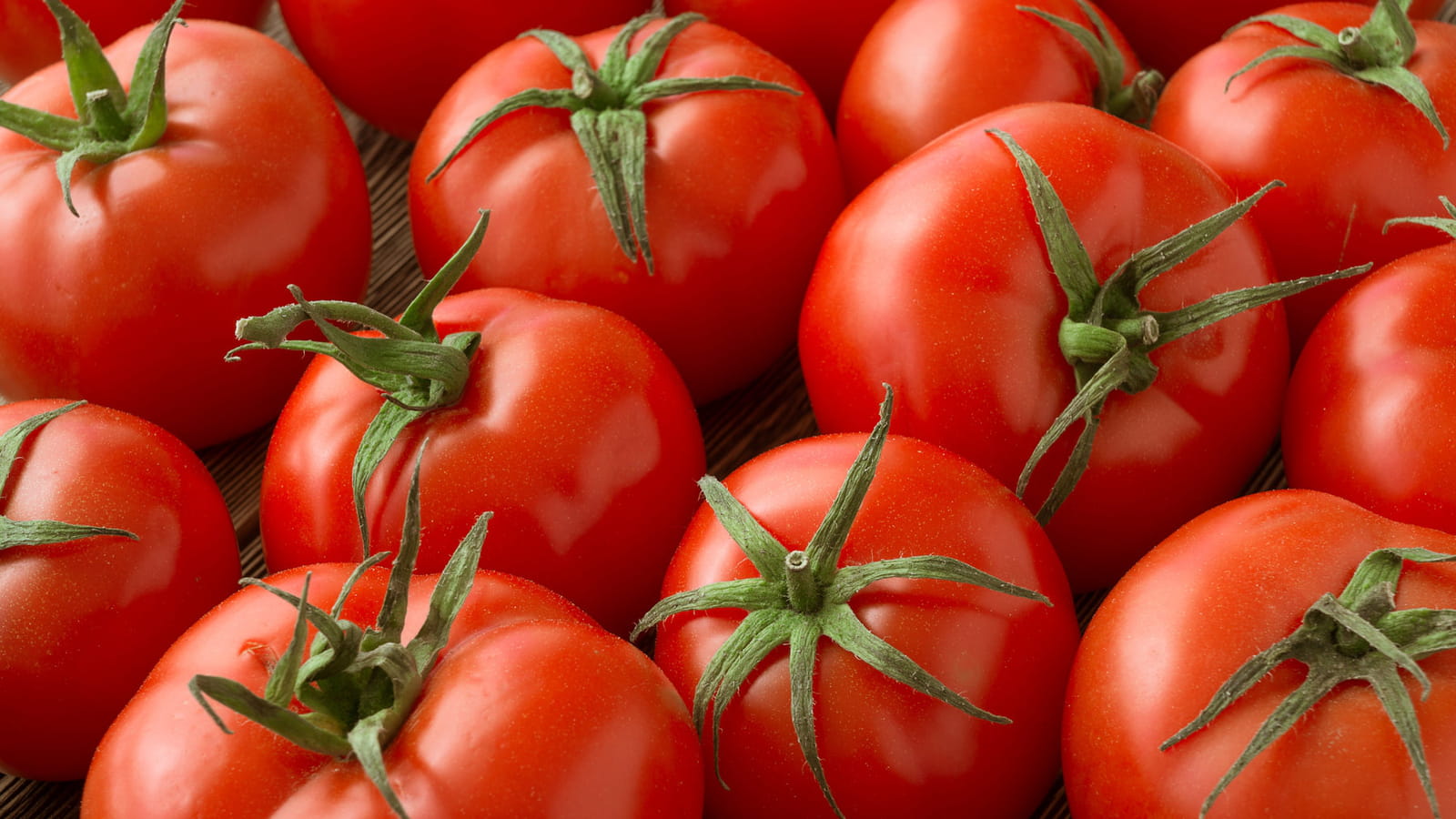 Les tomates vertes