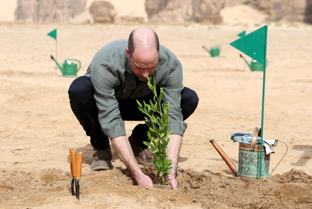 Le prince William, aper&ccedil;u en train de planter un arbre en Arabie Saoudite