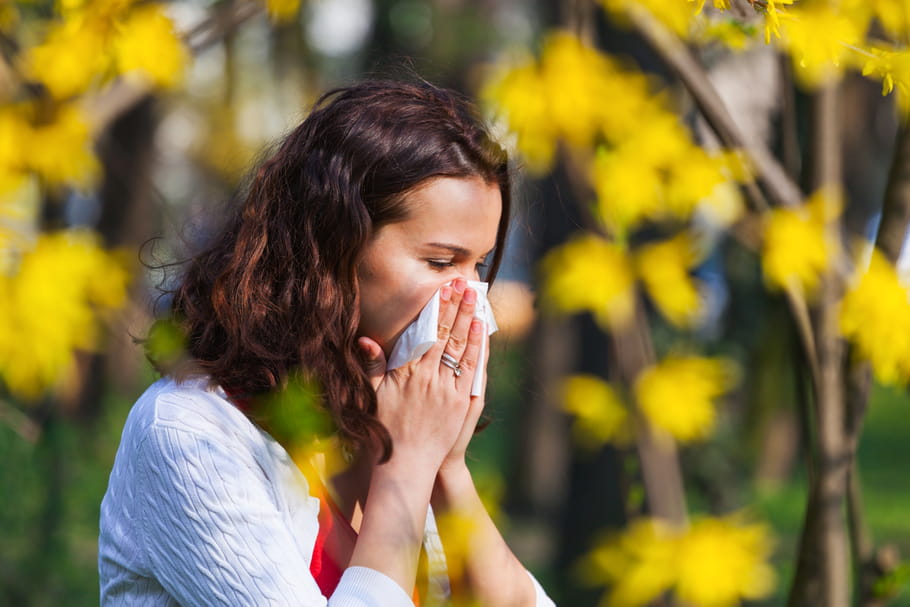 Allergie : les pollens de bouleau battent leur plein !