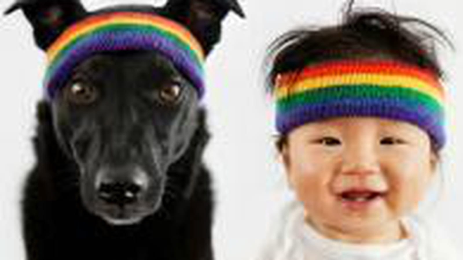 Jasper & Zoey, les grands sportifs