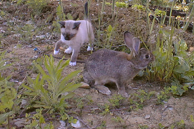 Le temps de faire connaissance