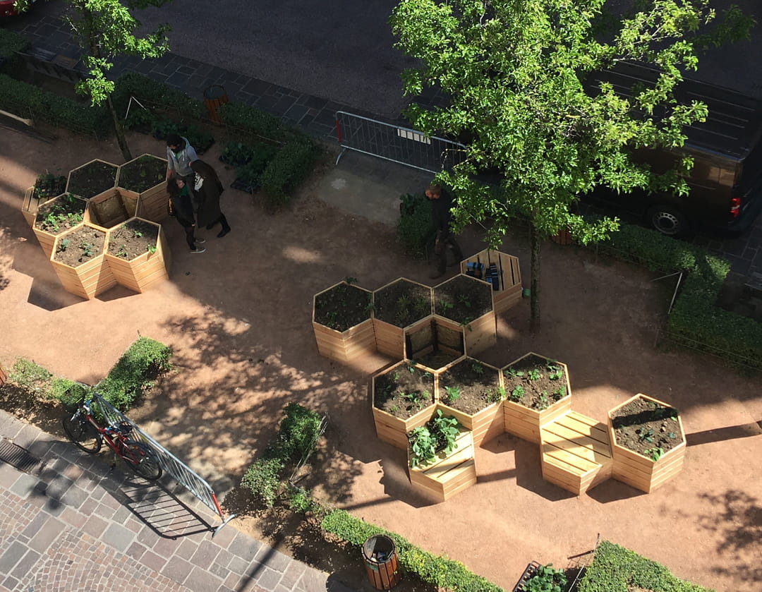 potager-en-ville-annecy-paysages