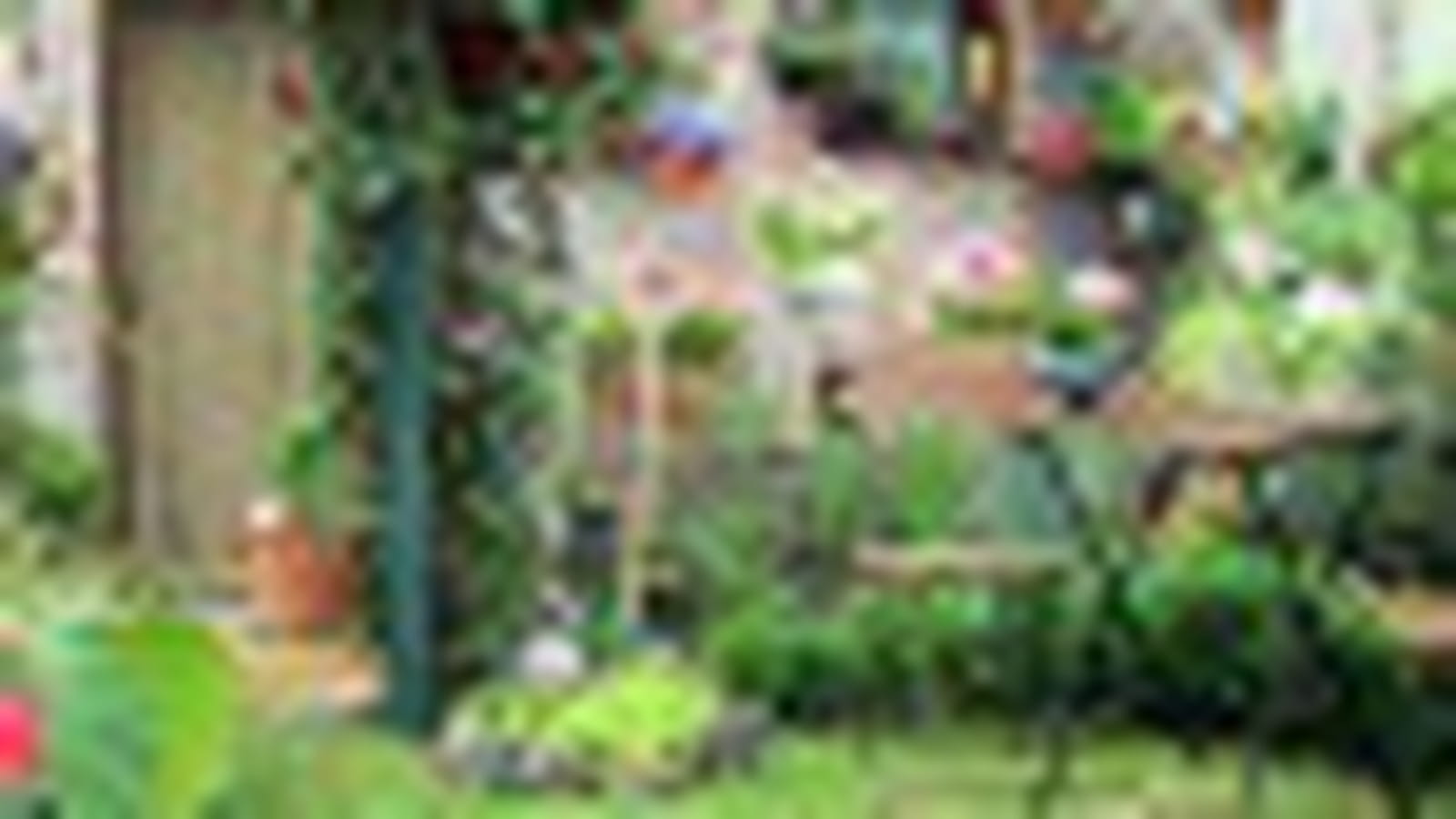 Un jardin en ville