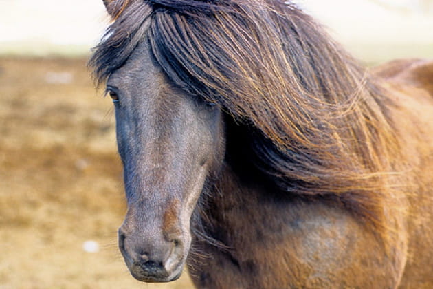 Parce qu'il le vaut bien