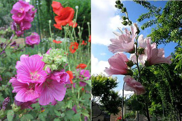 Des lavat&egrave;res tr&egrave;s pr&eacute;sentes