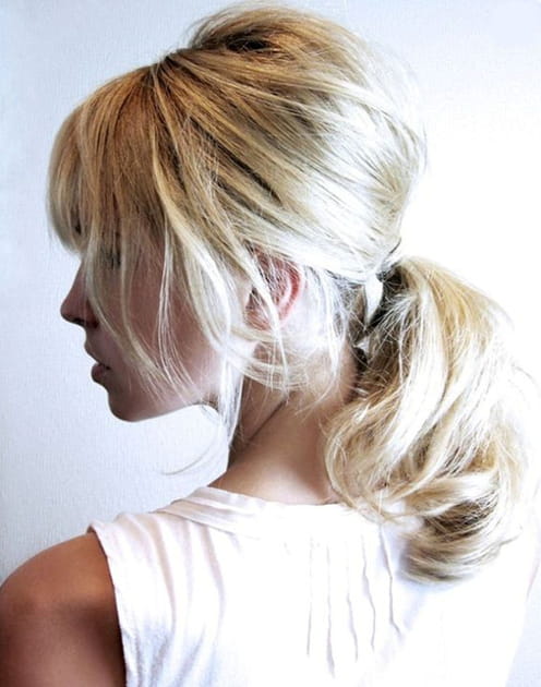 La queue de cheval basse