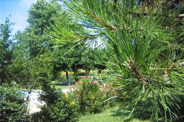 Au bord de la piscine