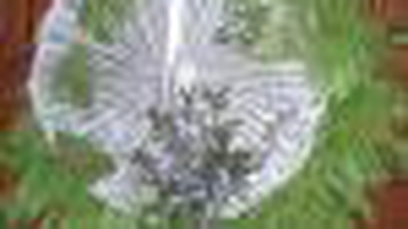 Couronne en plumes