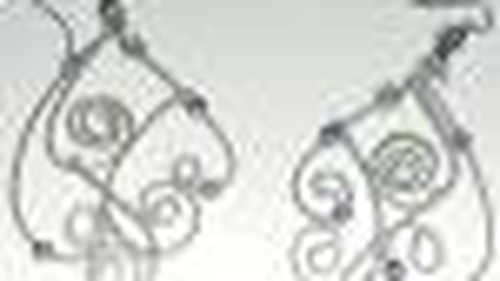 Boucles d'oreilles Swan