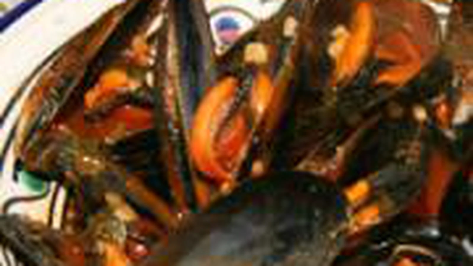 Moules marinières à la provençale