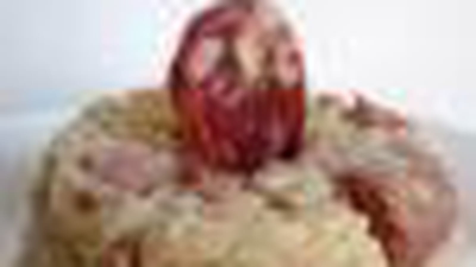 Risotti italien aux saucisses
