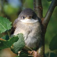 jerome morin photo 1