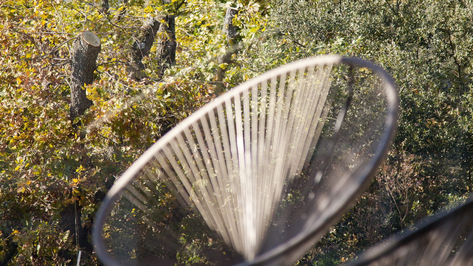 Terrasse automnale 