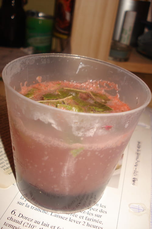 Cocktail vitaminé au pamplemousse de Floride