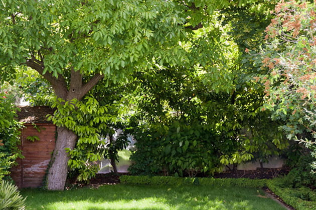 Une cabane bien cachée