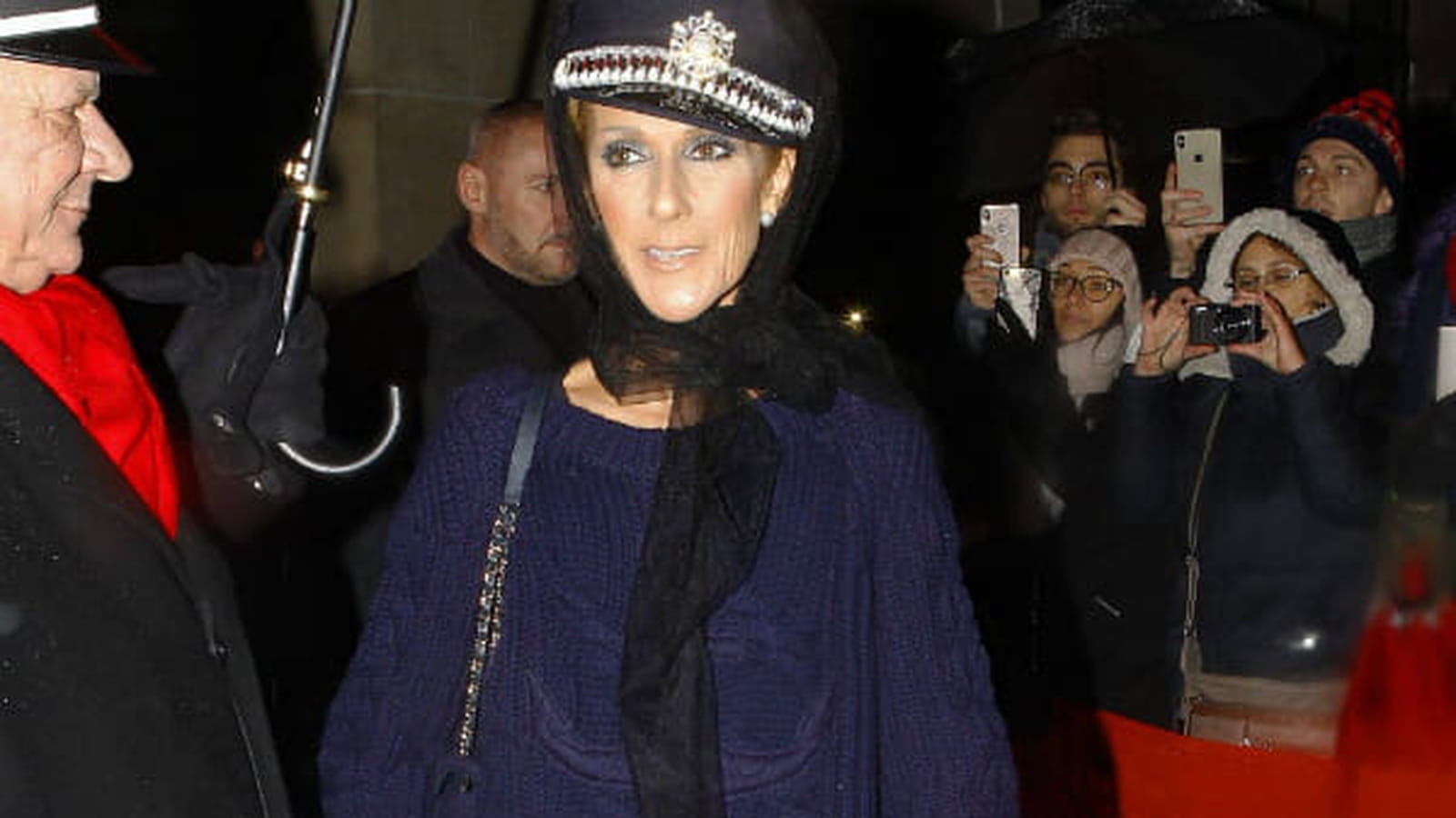 Céline Dion le 29 janvier 2019