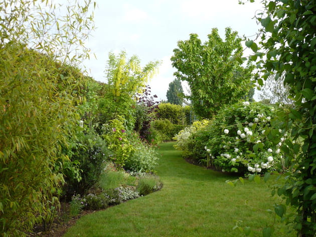 Une all&eacute;e de jardin ondoyante
