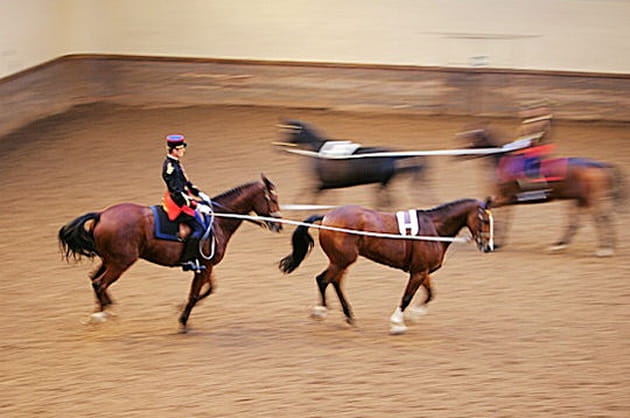 La reprise des tandems