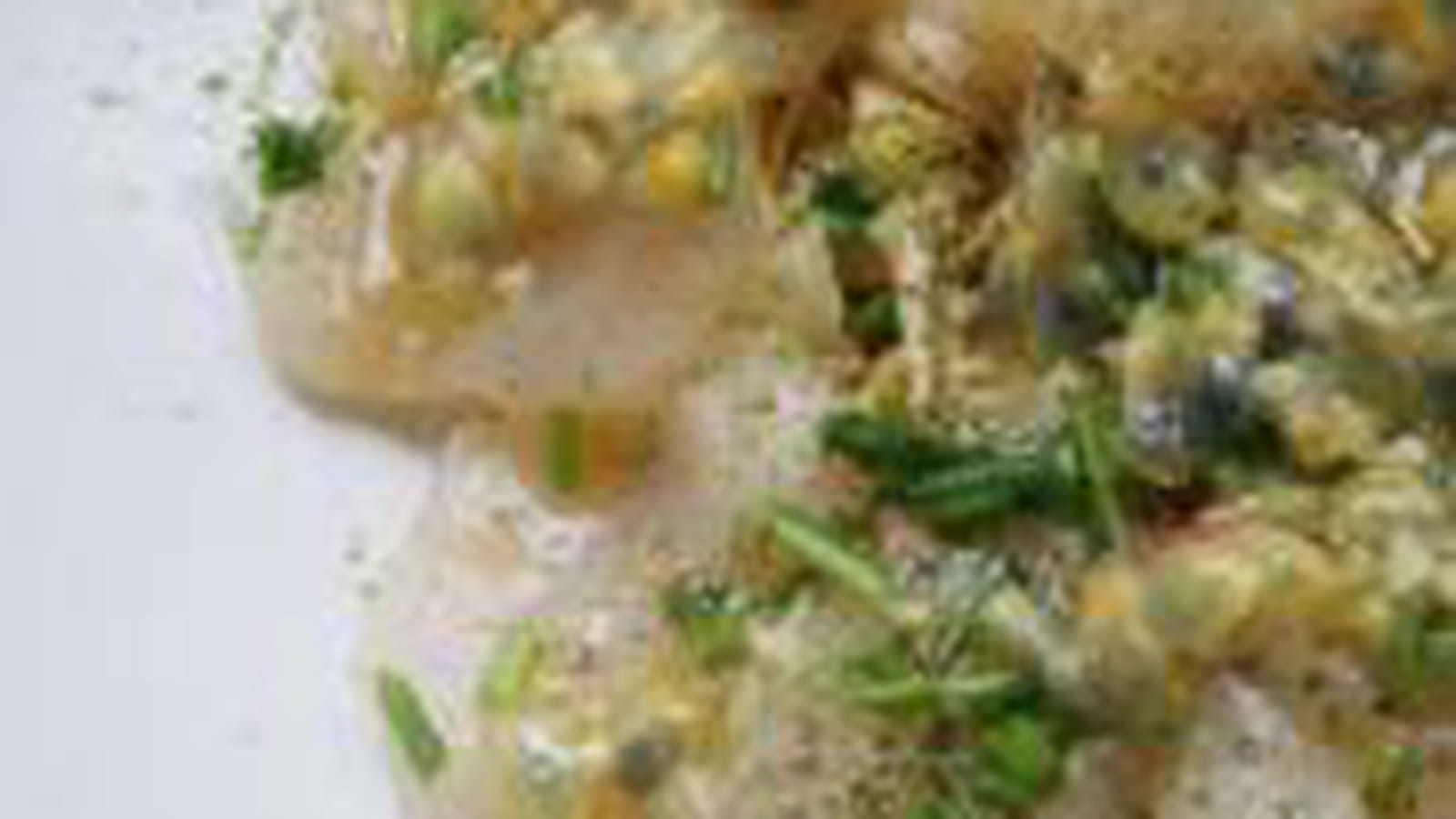 Carpaccio de St-Jacques et passion