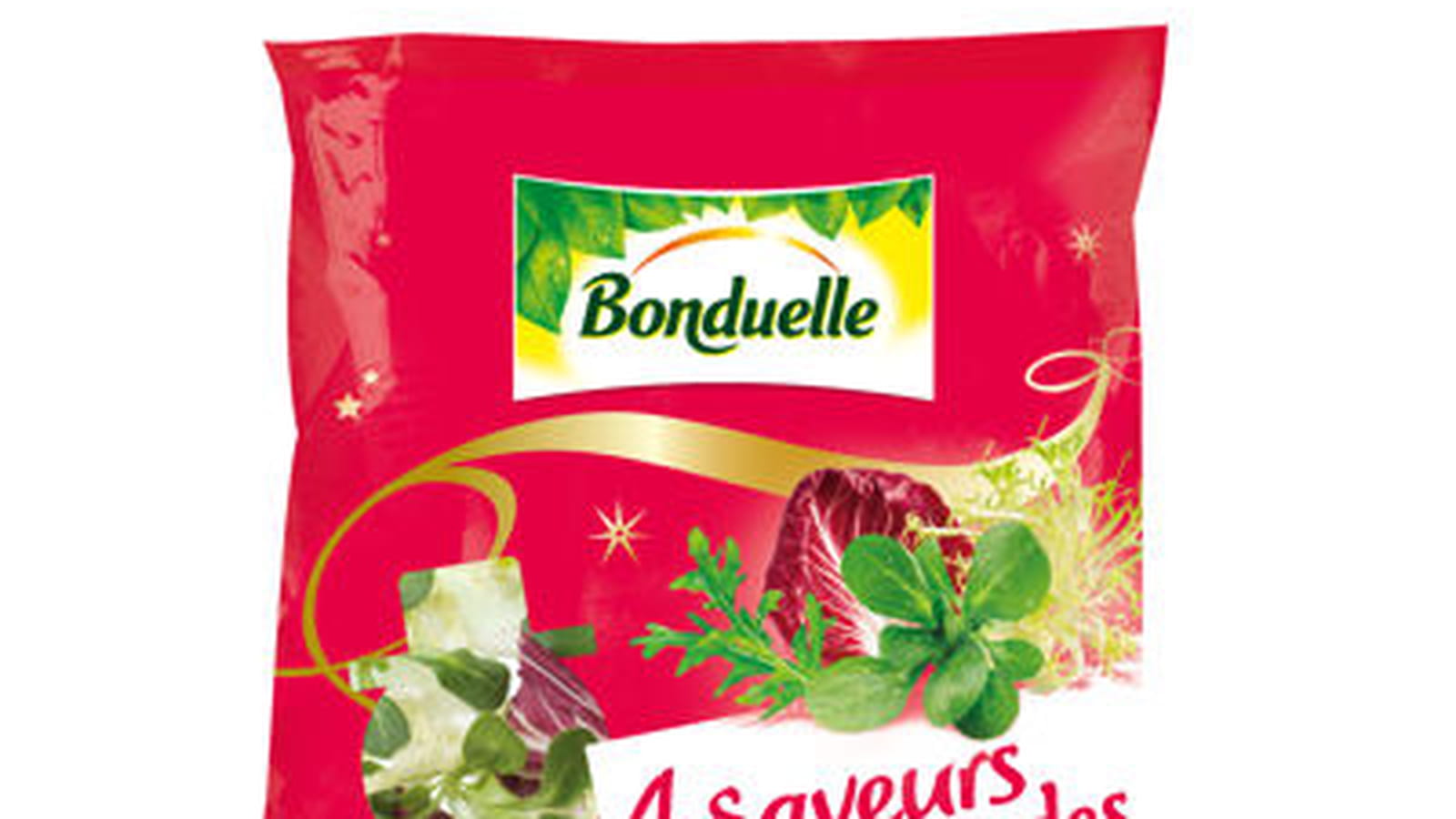 Salade 4 saveurs Gourmandes Bonduelle 