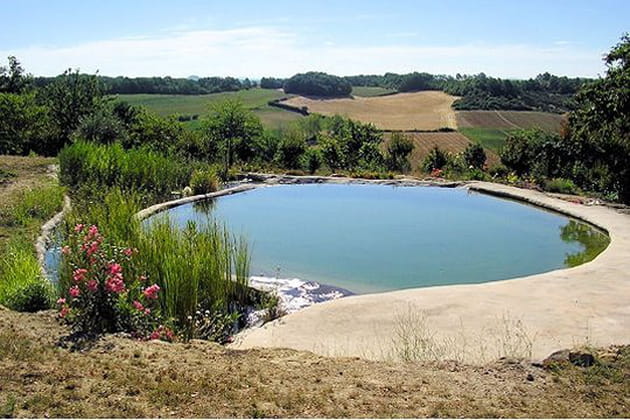Une baignade au naturelle