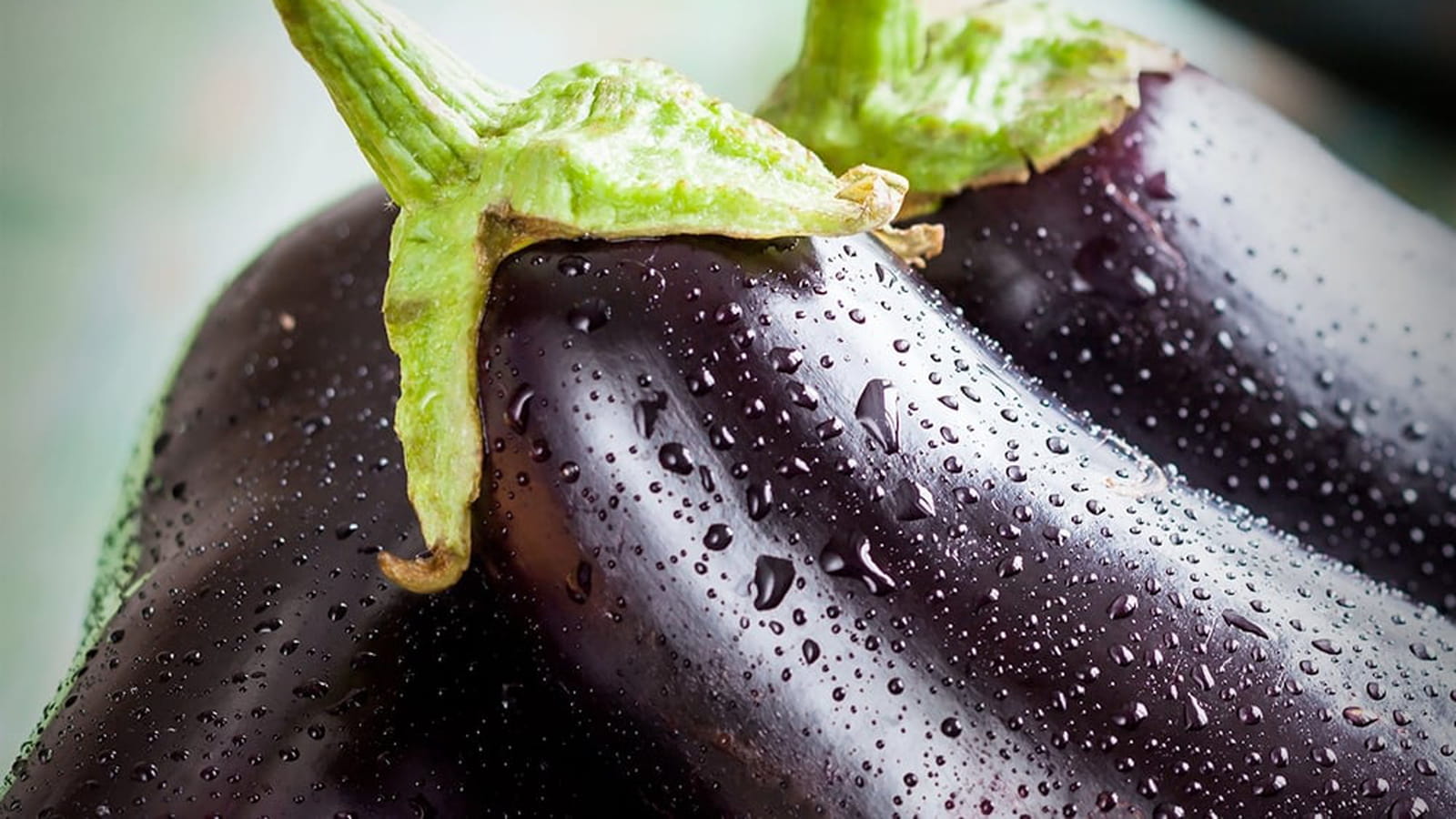 Aubergines