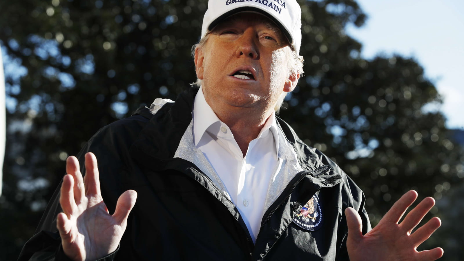 Donald Trump