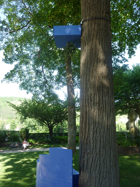 Mise en place d'un dialogue végétal