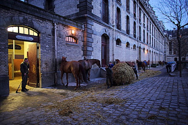 Petit matin aux &eacute;curies