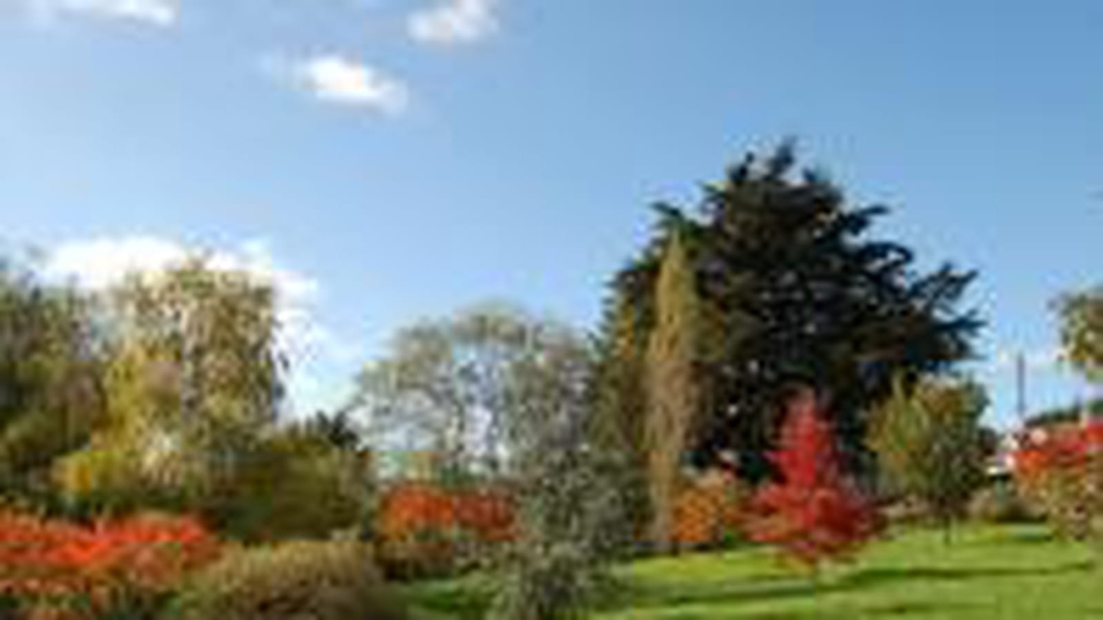 Jardin rougeoyant