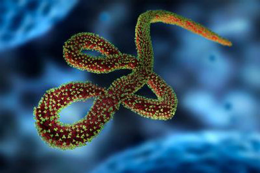 Comment faire face au virus Ebola ?