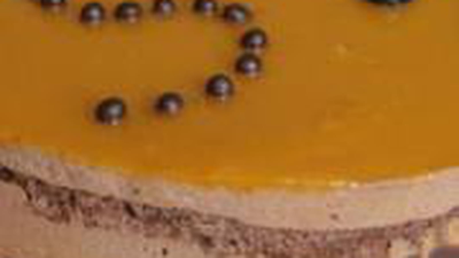 Entremets chocolat et mangue
