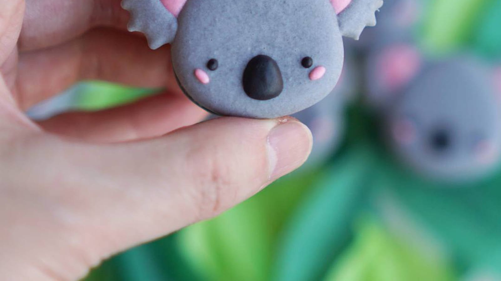 Koala à croquer