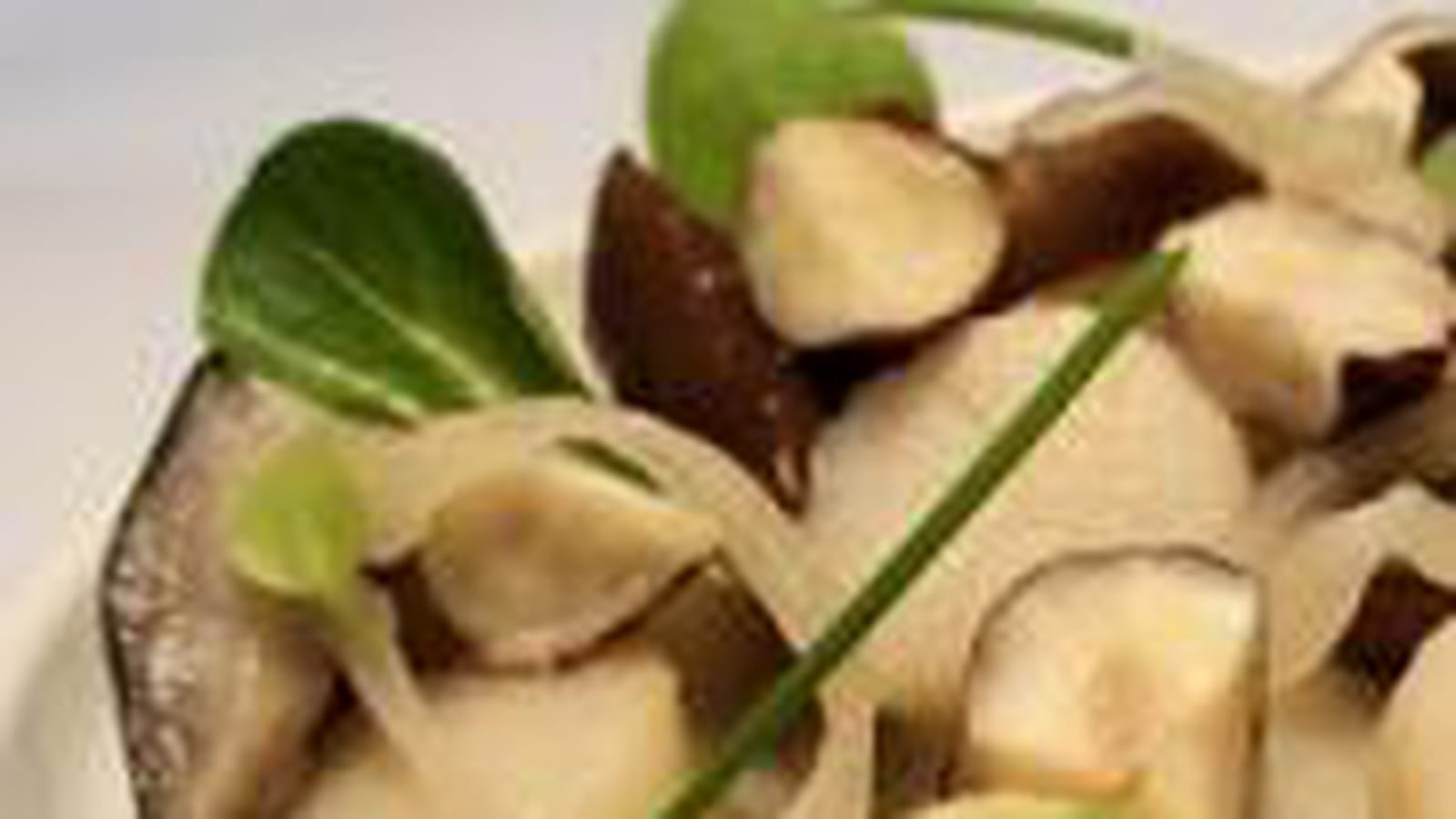 Blanquette de pétoncles, champignons et noisettes