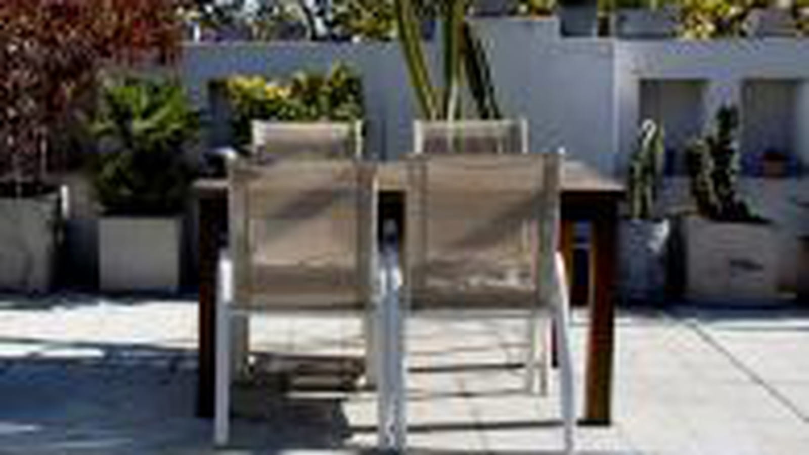 Terrasse végétale
