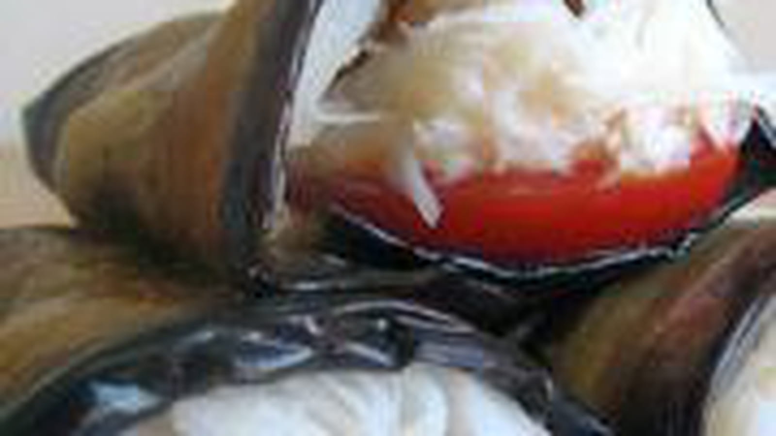 Roulés aux aubergines tomates et crabes, sauce cocktail