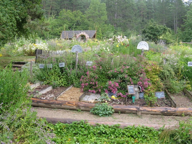 Un jardin potager pédagogique