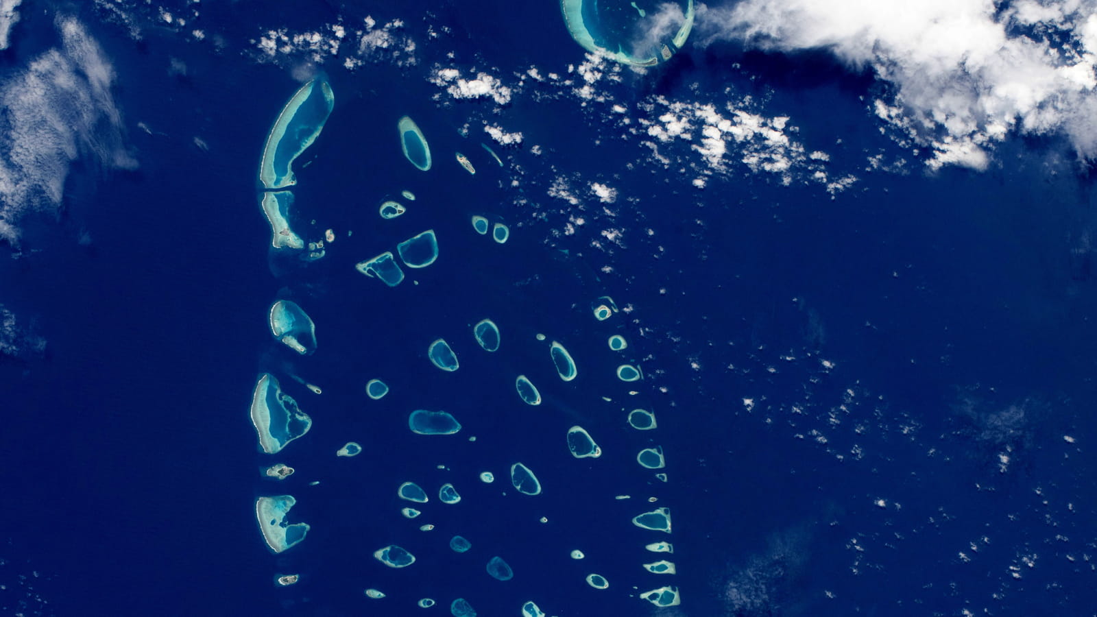 Atoll Ari (Maldives)