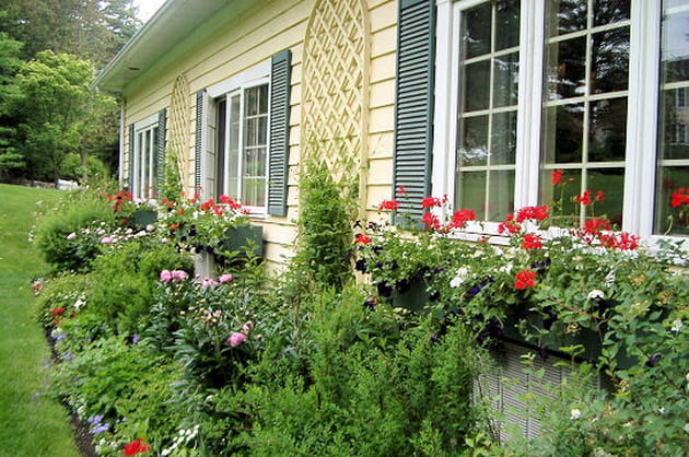 Mon jardin &agrave; l'anglaise