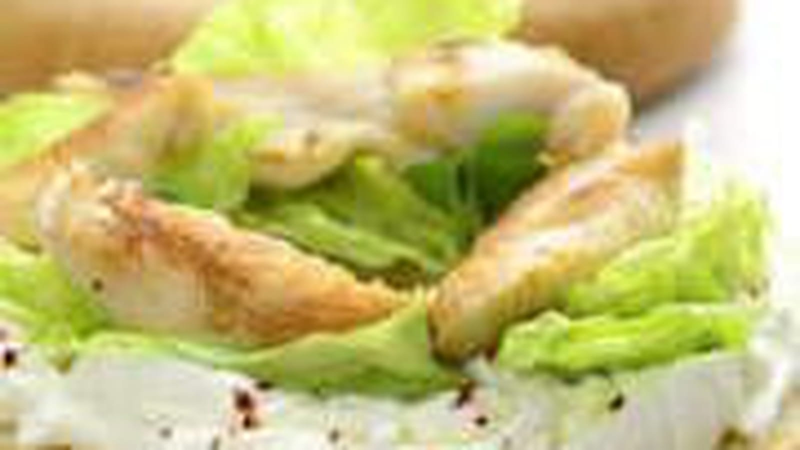 Tartine Poulet Epicé