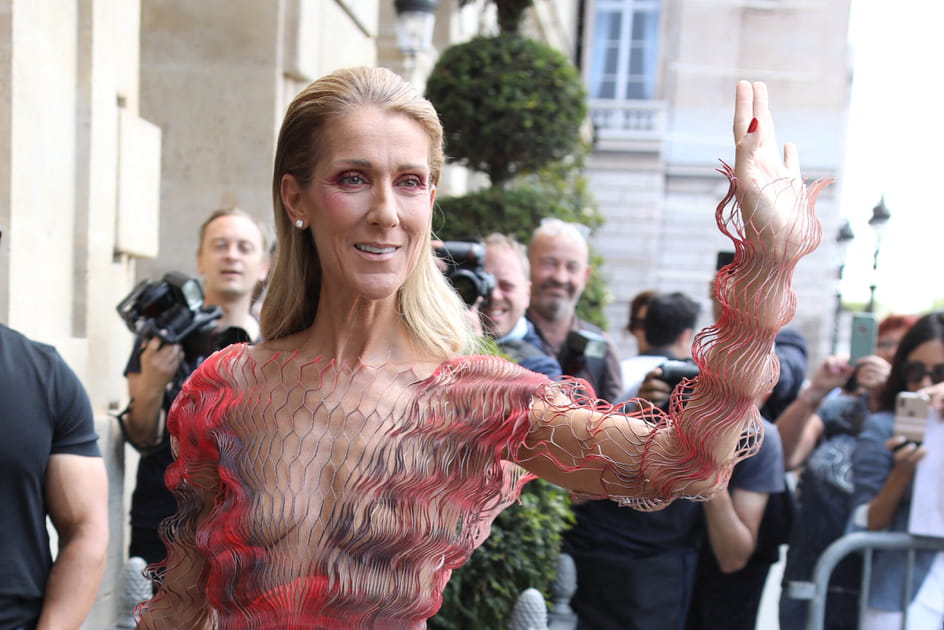 C&eacute;line Dion, somptueuse avec son brushing lisse