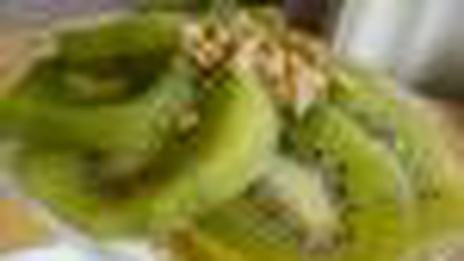 Kiwi
