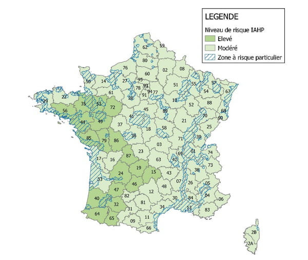Grippe aviaire en France