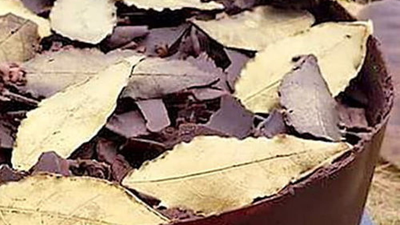 Feuille d'automne