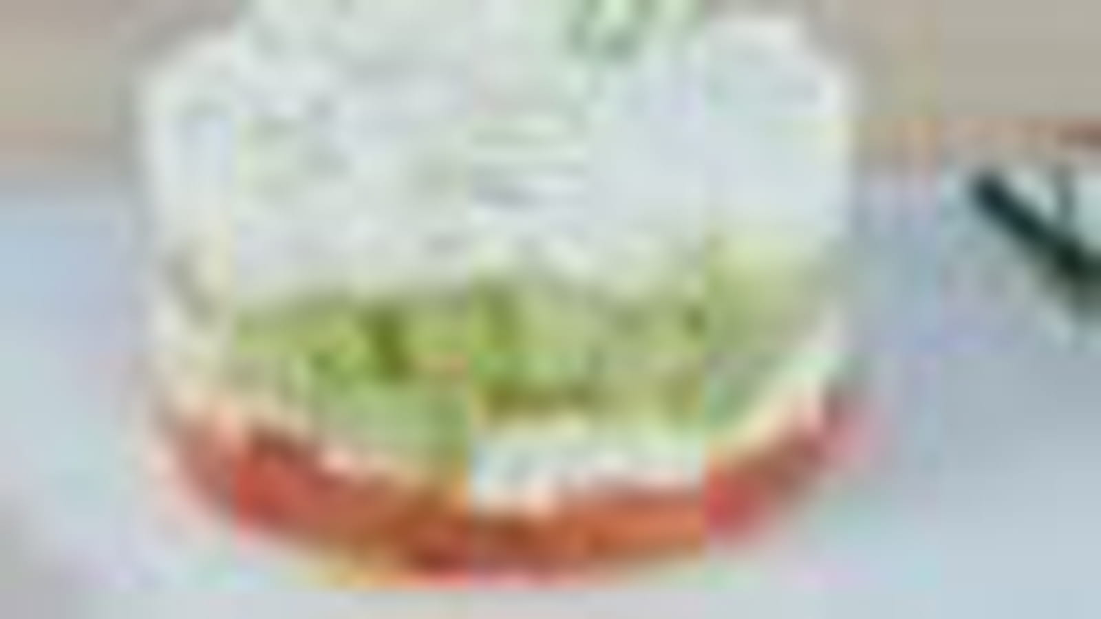 Tomate-concombre
