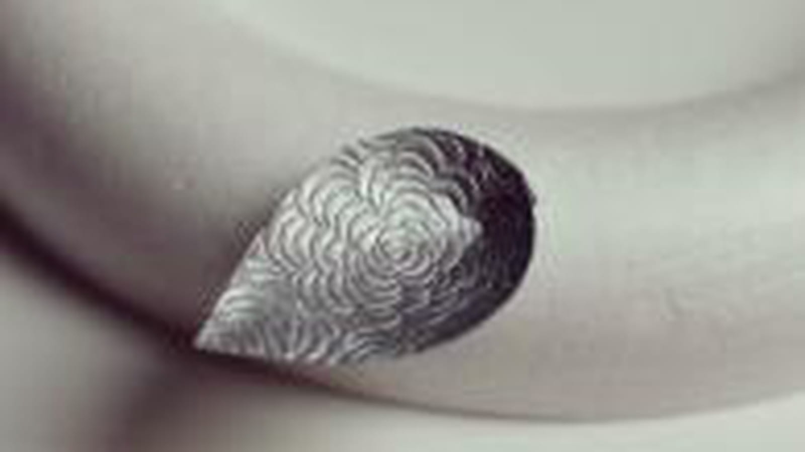 Feuilles en 3D