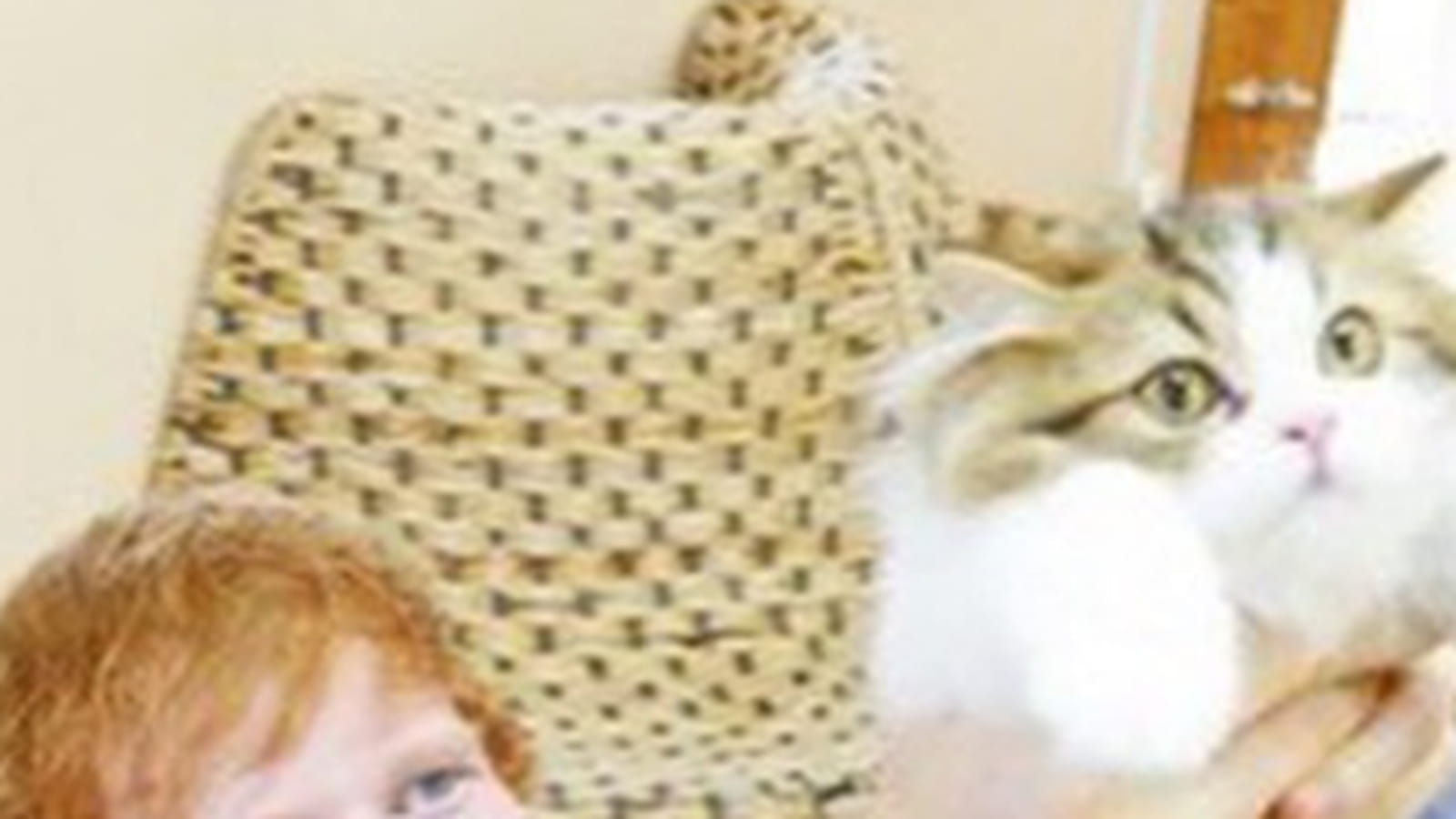 Ed Sheeran