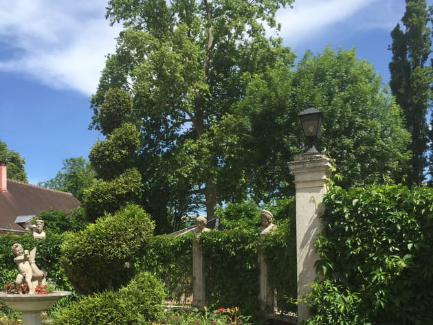 L'art topiaire dans l'exèdre